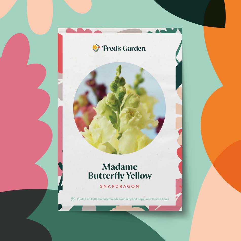 Lejongap 'Madame Butterfly Yellow' (frö)